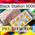 Black Stallion 9000 new13